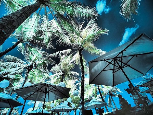 Eggers, Terry 아티스트의 Bali-Ubud-Umbrellas-Ponds and pools at hotel in Ubud작품입니다.